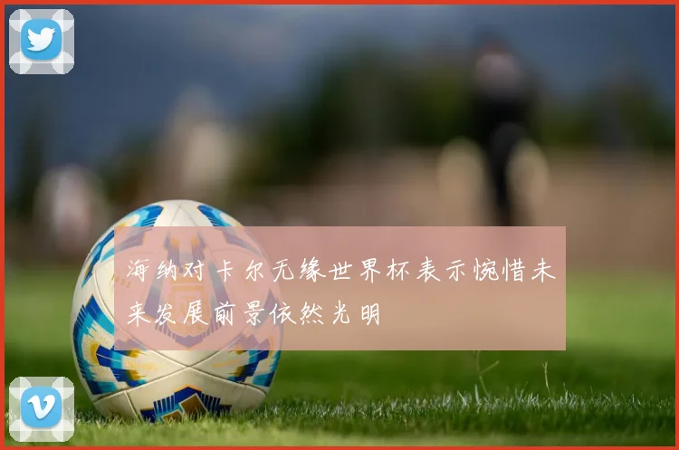 海纳对卡尔无缘世界杯表示惋惜未来发展前景依然光明